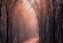 4球惨败=瓜帅最大失利！此前曾4球输给皇萨埃弗顿.