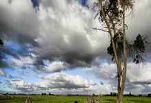 字母哥接话詹姆斯：我在70年代一场比赛可能得到275分！.