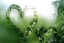 6轮拿到7分仅1胜，总身价近6亿的非洲霸主，可能连续无缘世界杯？.