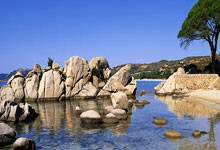 [天下足球]拜仁战胜弗赖堡 取得德甲五连胜.